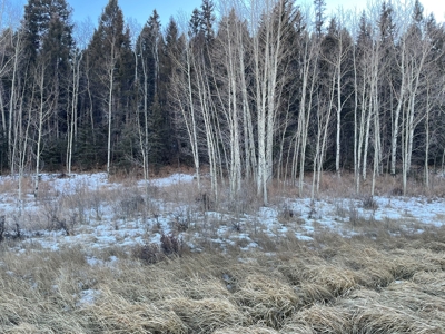 Land Auction in Colorado - image 5