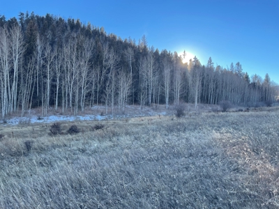 Land Auction in Colorado - image 2