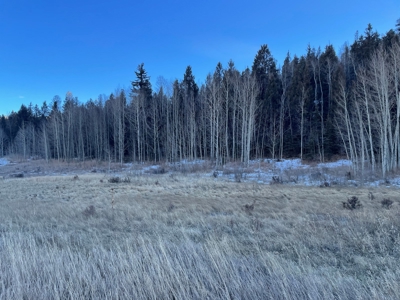 Land Auction in Colorado - image 3