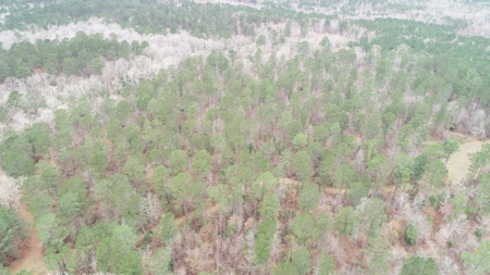 Diverse Land with Timber for Sale near Junction City, AR - image 4