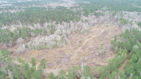 Diverse Land with Timber for Sale near Junction City, AR - image 1