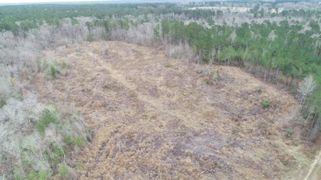 Diverse Land with Timber for Sale near Junction City, AR - image 6