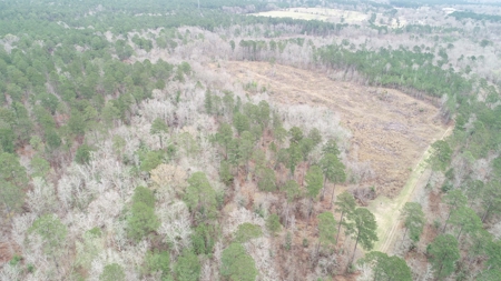 Diverse Land with Timber for Sale near Junction City, AR - image 5