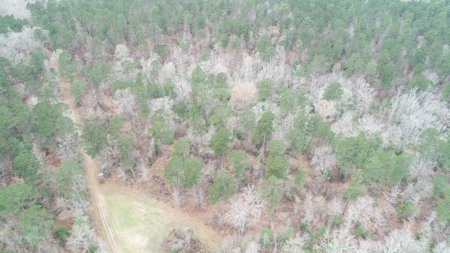 Diverse Land with Timber for Sale near Junction City, AR - image 3