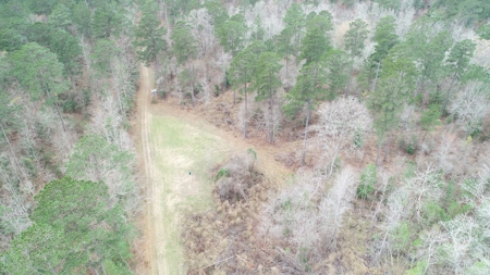 Diverse Land with Timber for Sale near Junction City, AR - image 7