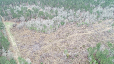 Diverse Land with Timber for Sale near Junction City, AR - image 2