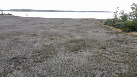 Coastal Equestrian Lot for sale in Beaufort NC - image 5