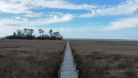Coastal Equestrian Lot for sale in Beaufort NC - image 9