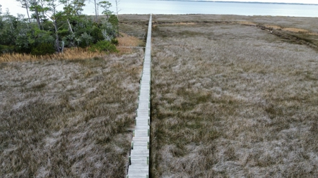 Coastal Equestrian Lot for sale in Beaufort NC - image 7