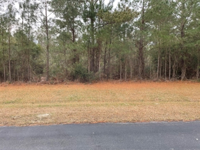 Coastal Equestrian Lot for sale in Beaufort NC - image 21