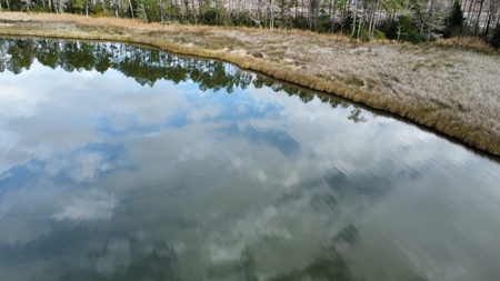 Coastal Equestrian Lot for sale in Beaufort NC - image 14