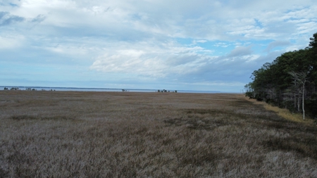Coastal Equestrian Lot for sale in Beaufort NC - image 8