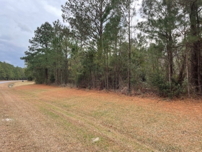 Coastal Equestrian Lot for sale in Beaufort NC - image 19