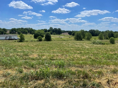Organic egg farm and home for sale near Munfordville, Ky - image 8