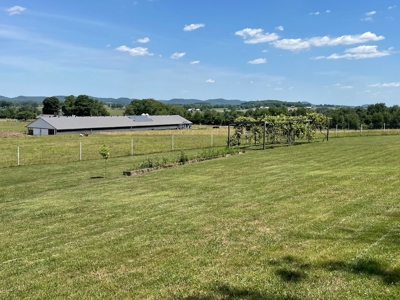 Organic egg farm and home for sale near Munfordville, Ky - image 20