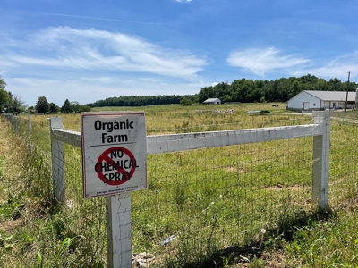 Organic egg farm and home for sale near Munfordville, Ky - image 38