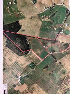 Organic egg farm and home for sale near Munfordville, Ky - image 42