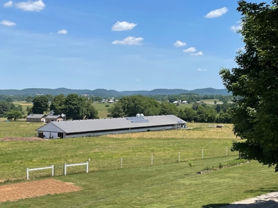 Organic egg farm and home for sale near Munfordville, Ky - image 13