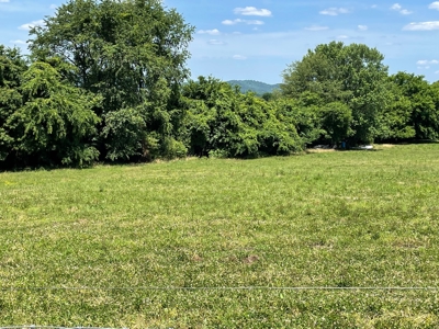 Organic egg farm and home for sale near Munfordville, Ky - image 18