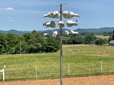 Organic egg farm and home for sale near Munfordville, Ky - image 19