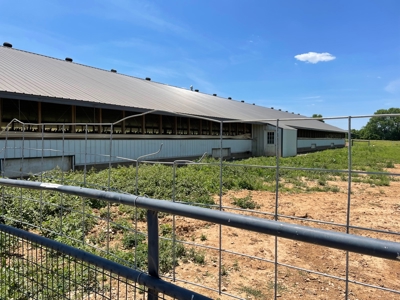 Organic egg farm and home for sale near Munfordville, Ky - image 35