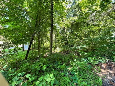 Organic egg farm and home for sale near Munfordville, Ky - image 26