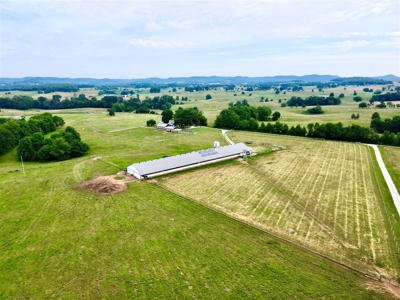 Organic egg farm and home for sale near Munfordville, Ky - image 5