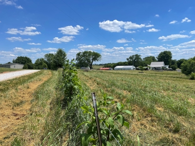 Organic egg farm and home for sale near Munfordville, Ky - image 10