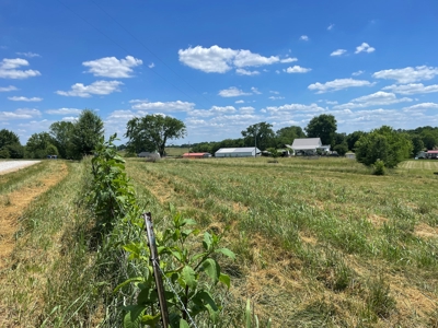 Organic egg farm and home for sale near Munfordville, Ky - image 9