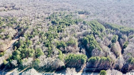 40 Acres Land for Sale Quitman LA - image 7