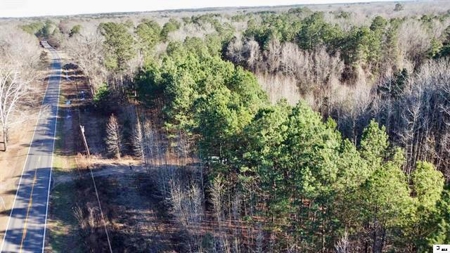 40 Acres Land for Sale Quitman LA - image 8