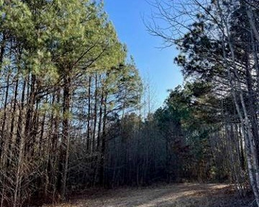 40 Acres Land for Sale Quitman LA - image 2