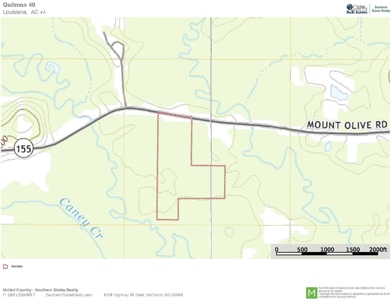 40 Acres Land for Sale Quitman LA - image 11