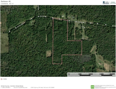 40 Acres Land for Sale Quitman LA - image 10
