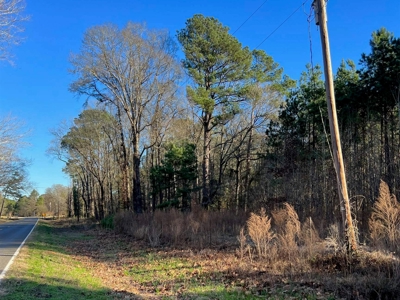 40 Acres Land for Sale Quitman LA - image 1