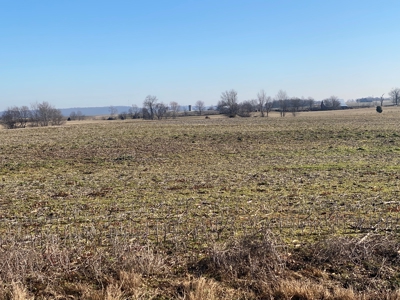 Prime Agricultural Land For Sale in KY - image 8