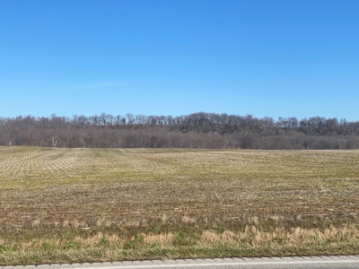 Prime Agricultural Land For Sale in KY - image 9