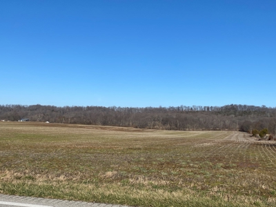 Prime Agricultural Land For Sale in KY - image 2