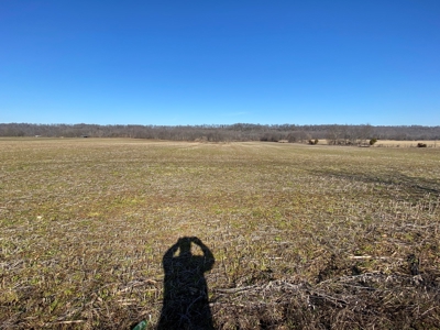 Prime Agricultural Land For Sale in KY - image 10