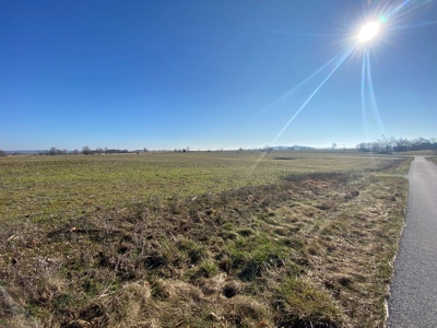 Prime Agricultural Land For Sale in KY - image 5