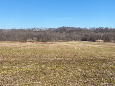 Prime Agricultural Land For Sale in KY - image 11