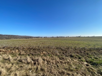 Prime Agricultural Land For Sale in KY - image 3