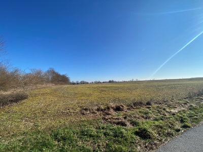 Prime Agricultural Land For Sale in KY - image 6
