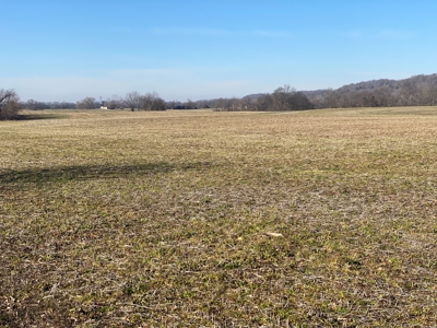 Prime Agricultural Land For Sale in KY - image 12