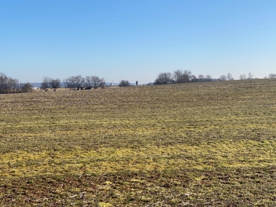Prime Agricultural Land For Sale in KY - image 7
