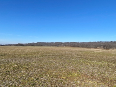 Prime Agricultural Land For Sale in KY - image 13