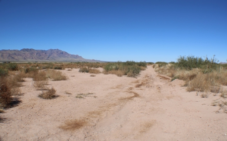 This 40 acre land/lot is ideal for off gridders - image 12