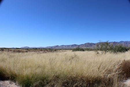 This 40 acre land/lot is ideal for off gridders - image 11