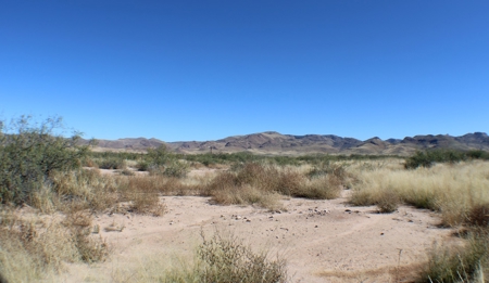 This 40 acre land/lot is ideal for off gridders - image 9