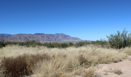 This 40 acre land/lot is ideal for off gridders - image 10